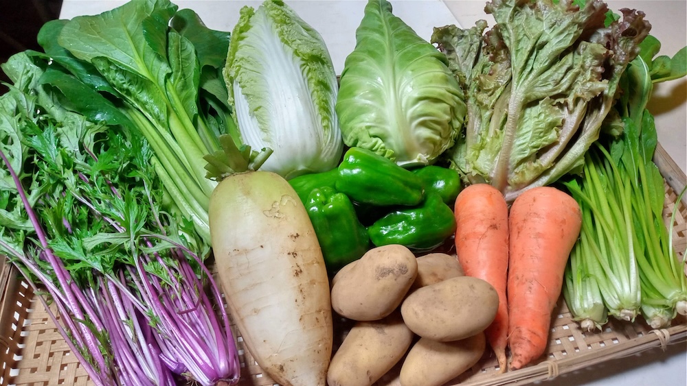 有機農園ベジカンの野菜セット内容