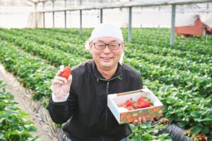山﨑いちご園